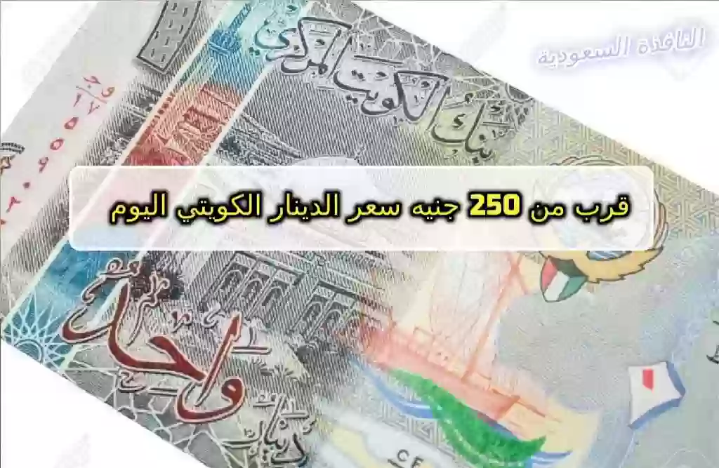سعر الدينار الكويتي اليوم في السوق السوداء امام الجنيه المصري