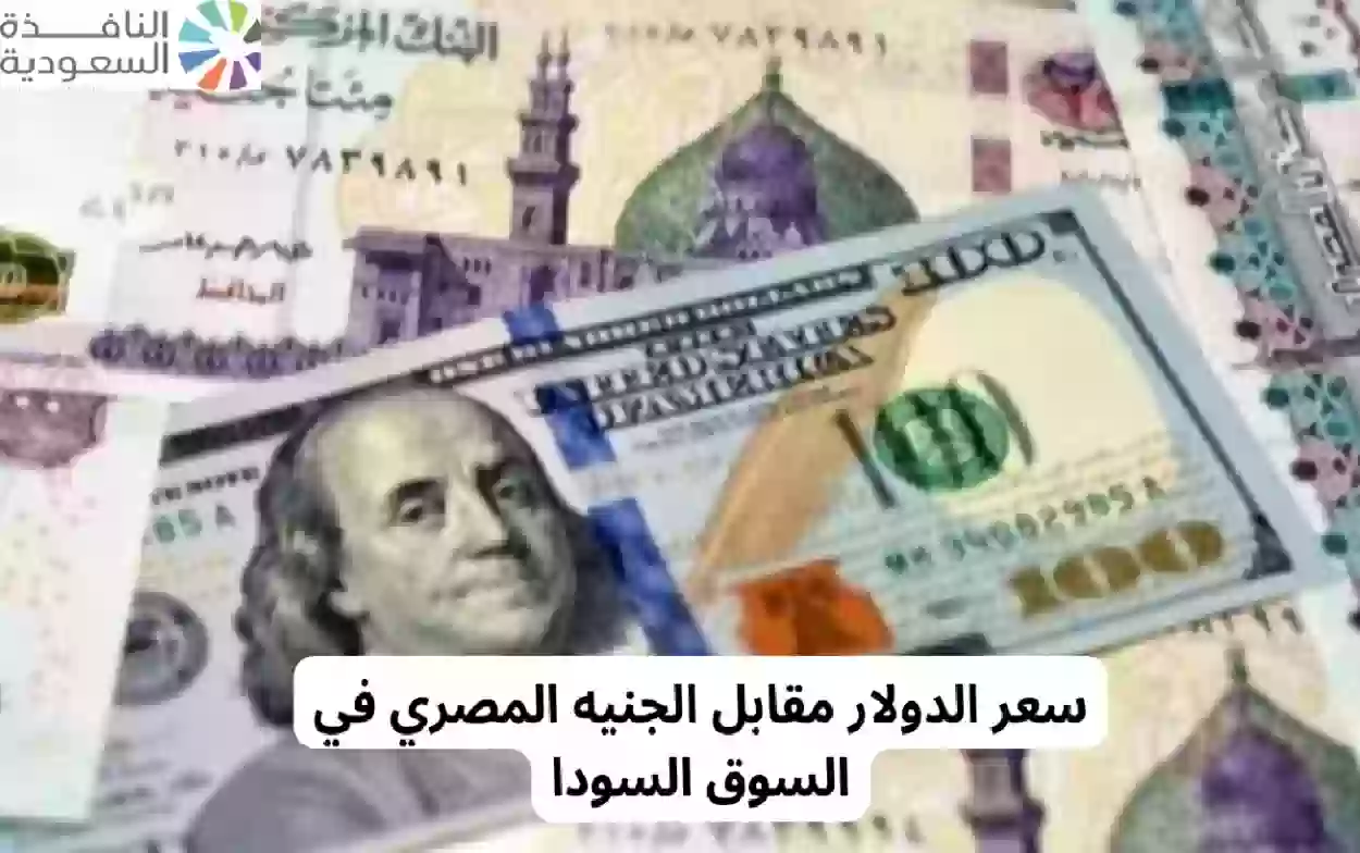ارتفاع كبير لسعر الدولار امام الجنيه المصري