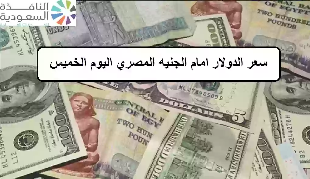 سعر الدولار امام الجنيه المصري