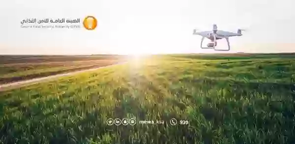 الزراعة