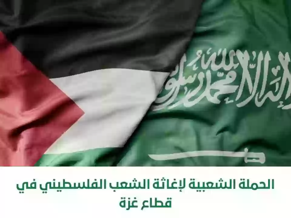 حملة إغاثة غزة