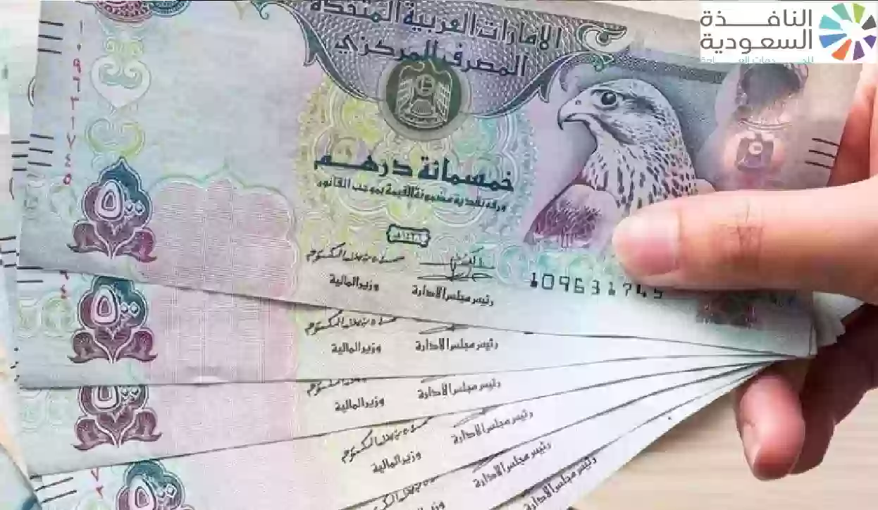 سعر الدرهم الإماراتي أمام الجنيه المصري
